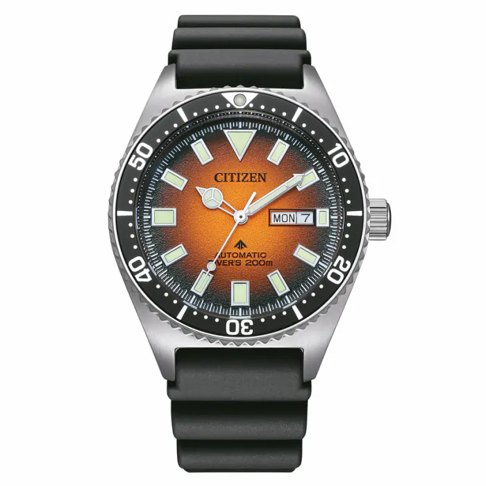 Citizen on sale promaster automatic